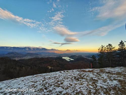 Review of the Honor Magic 7 Pro: An In-Depth Exploration of a Flagship Contender 191