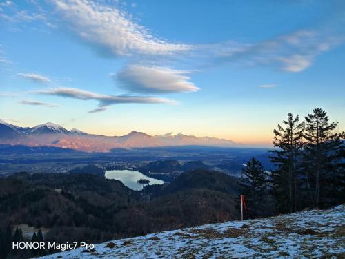 Review of the Honor Magic 7 Pro: An In-Depth Exploration of a Flagship Contender 193