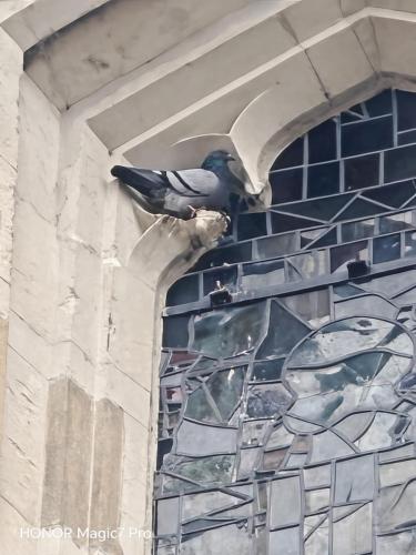 IMG 20250128 135249 ENHANCE001