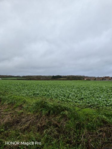 Honor Magic8 Pro review Just Changed the Android Game 20