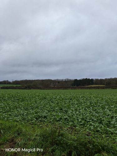 Honor Magic8 Pro review Just Changed the Android Game 22