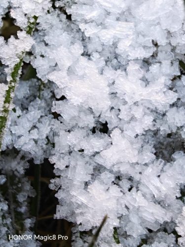 Honor Magic8 Pro review Just Changed the Android Game 13